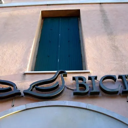 Bice Senigallia